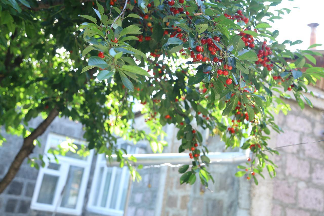 Guest House David'S B&B Gjoumri Kültér fotó